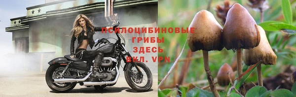 тгк Туринск