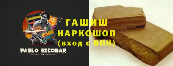 индика Тутаев
