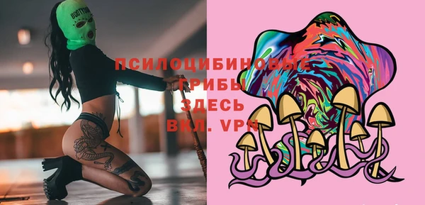 индика Тутаев